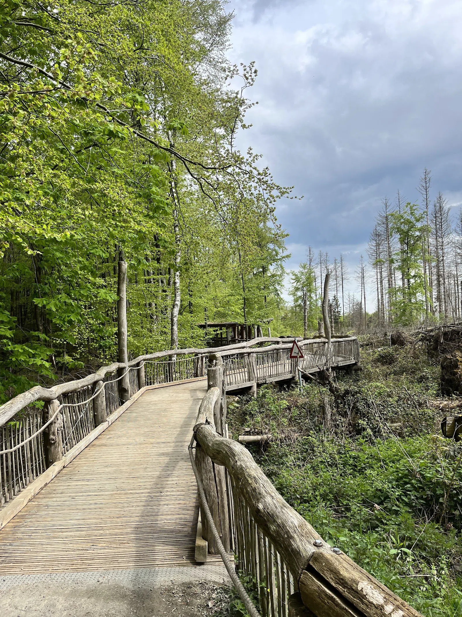Eifel Nationalpark — Wilder Kermeter og Wilder Weg, Köln